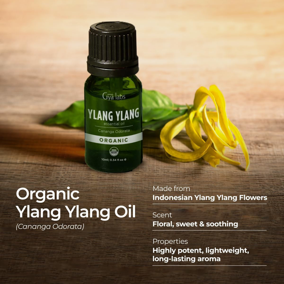 Ylang-Ylang Essential Oil Organic for Diffuser - Natural Organic Ylang Ylang Oil Essential Oil for Skin, Hair & Aromatherapy (10Ml)